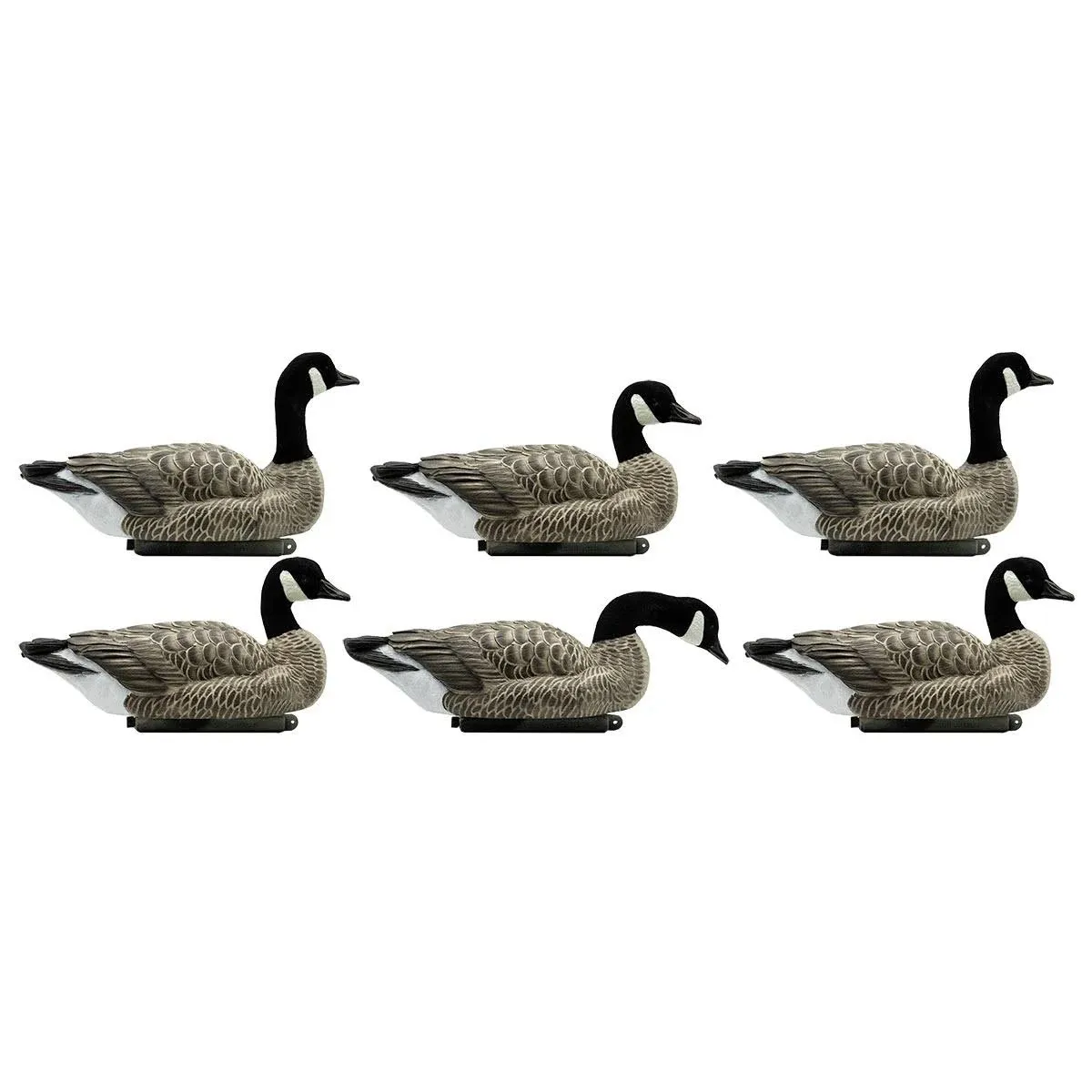 Dakota Decoy Lesser Floating Canada Geese 6pk Pkbl 22000