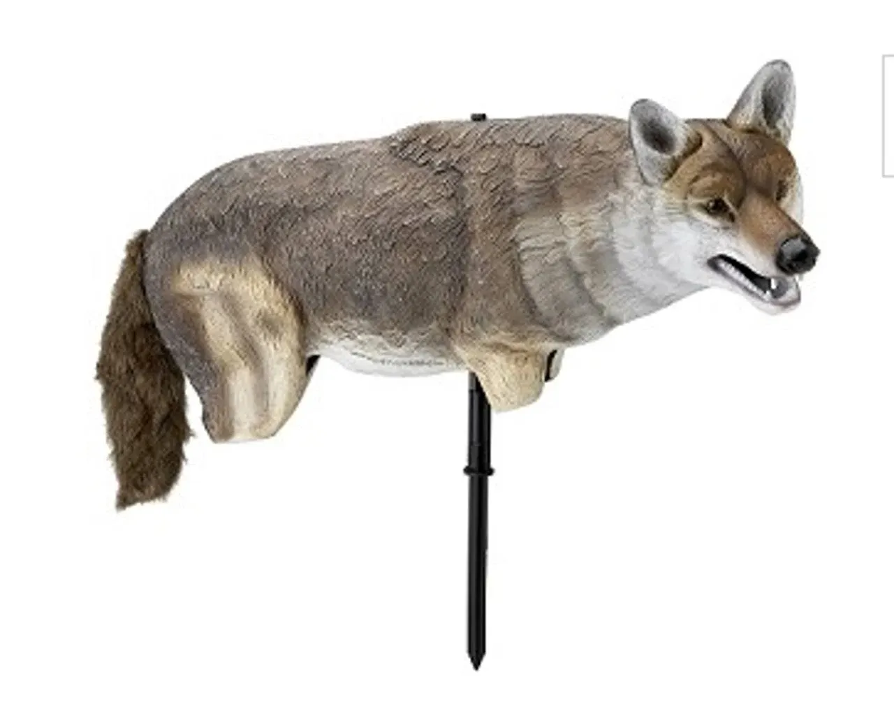 Edge Yote Coyote Decoy