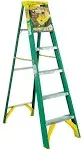 Werner 6 ft Type II Fiberglass Step Ladder 5906