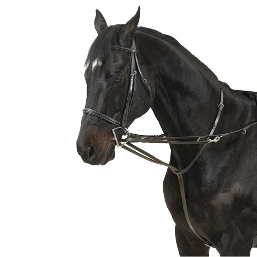 Camelot German Martingale Rein Black