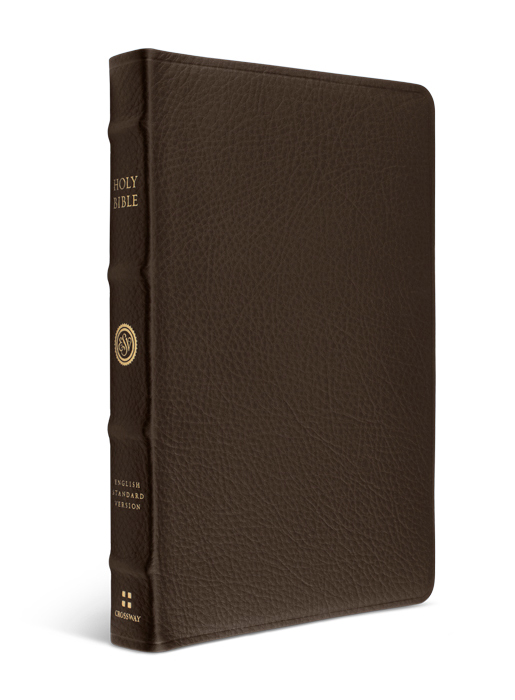 ESV Large-Print Bible