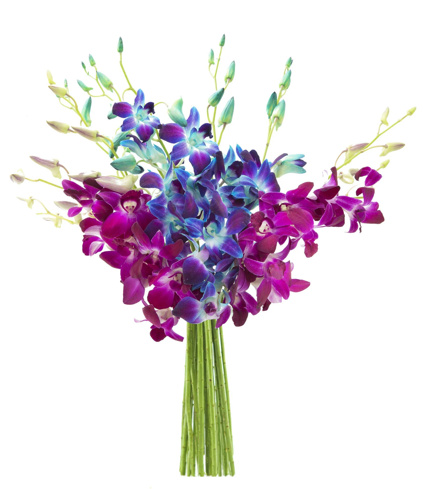 Kabloom Midnight in The Tropics Bouquet of Blue and Purple Orchids from Thailand