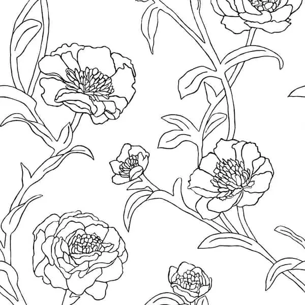 Peonies Peel and Stick Wallpaper - Black & White/Single Roll