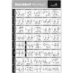 NewMe Fitness Workout Posters for Home Gym, Dumbbell Exercise Posters for Full ...