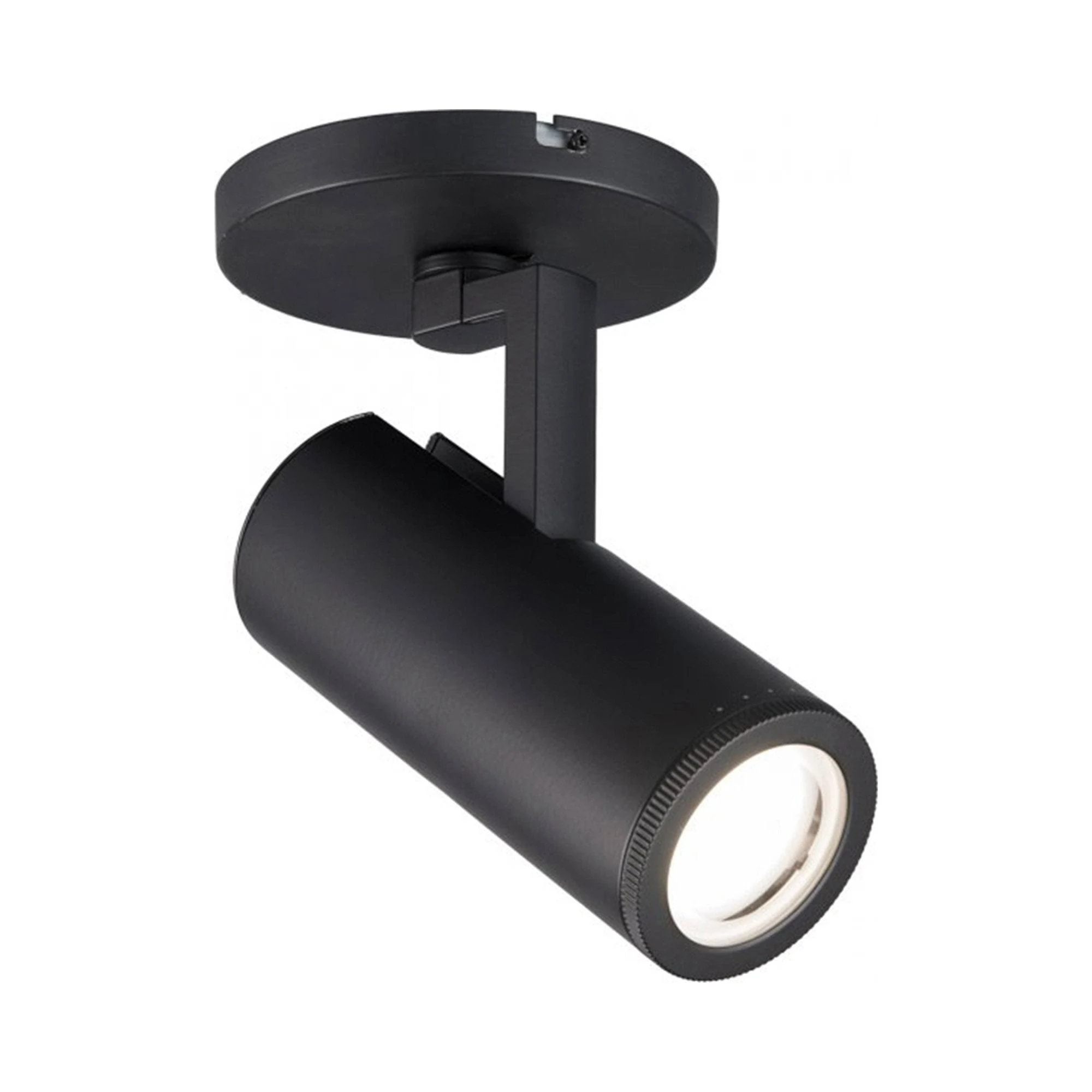 Paloma LED Spot Light in Black