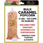 Gourmet Pops Corn Caramel Popcorn