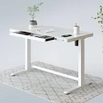 FlexiSpot Comhar 48"W Electric Height-Adjustable Desk, White