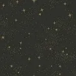 Roommates Upon A Star Peel and Stick Wallpaper, Size: 20.5 inches wide x 16.5 feet, Black