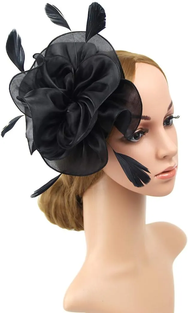 DRESHOW Fascinators Hat Tea Party Headwear Ribbons Feathers on A Headband and A ...