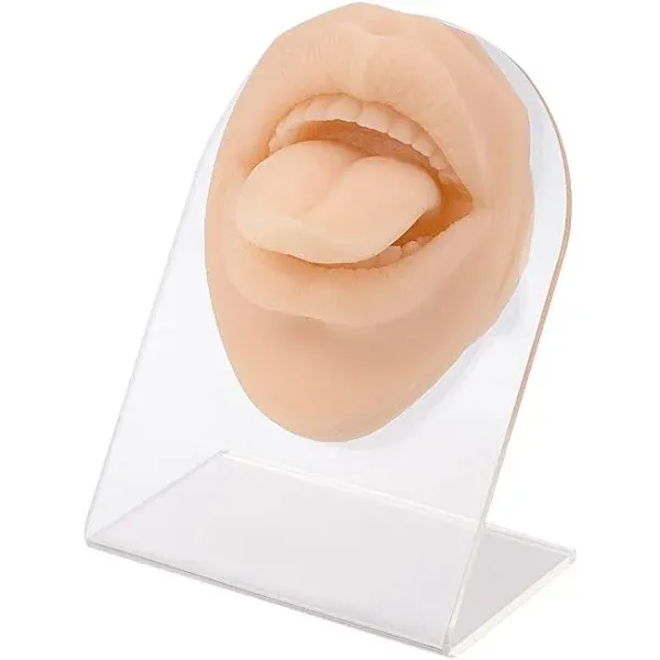 SimCoach Soft Silicone Tongue&Mouth Model with Acrylic Stand, Piercing Practice Body Parts, Imitation Mold for Jewelry Display