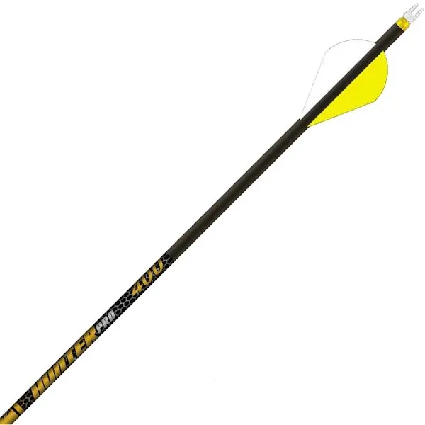 GOLD TIP TIP ARROW HUNTER PRO 340 2&#034; RAPTOR VANES 1/2DOZ