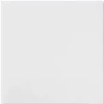 12" x 12" White Acrylic Sheet Lucite Plexiglass - (Actual Size 11.875" x 11.875" - .118" (1/8")