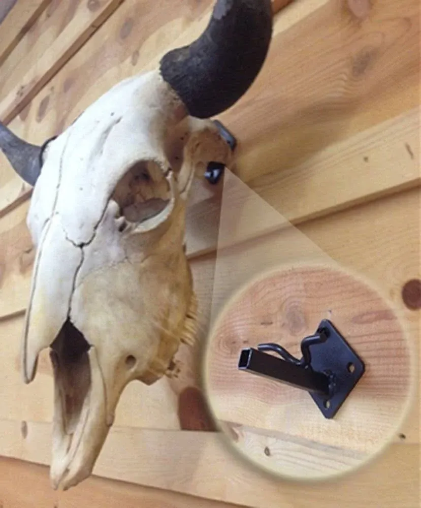 Buffalo Bracket | Heavy-Duty Buffalo, Elk, Moose, Cattle Skull Mounting Bracket | Large Game | USA Made