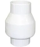 Valterra Swing Check Valve Slip x Slip 2"