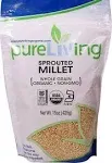 PureLiving Sprouted Organic Millet Grain Non-GMO - 15 Ounce Bag - Considered One