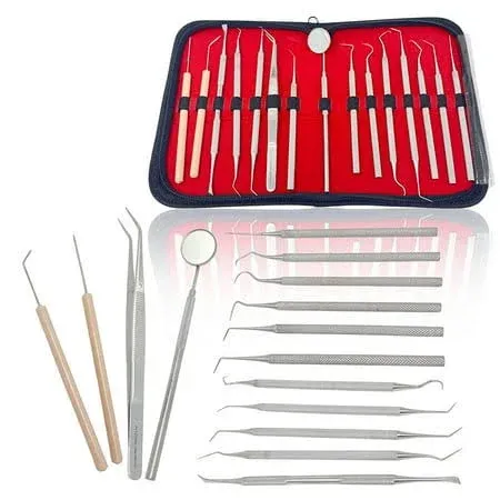 Cynamed 15-Piece Stainless Steel Micro Precision Probe Set: Straight, Single ...