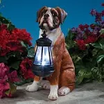 Bits and Pieces - Boxer Solar Lantern Statue - Solar Powered Garden Lantern Statue - Resin Dog Sculpture with LED Light - Outdoor Lighting and Décor