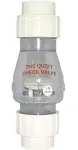 Campbell Mfg Llc 2" Quietsewage Chk Valve B-0823-20C Well Supply Accessories