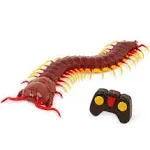 Terra by Battat Remote Control Centipede