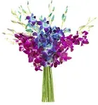 Kabloom Midnight in The Tropics Bouquet of Blue and Purple Orchids from Thailand