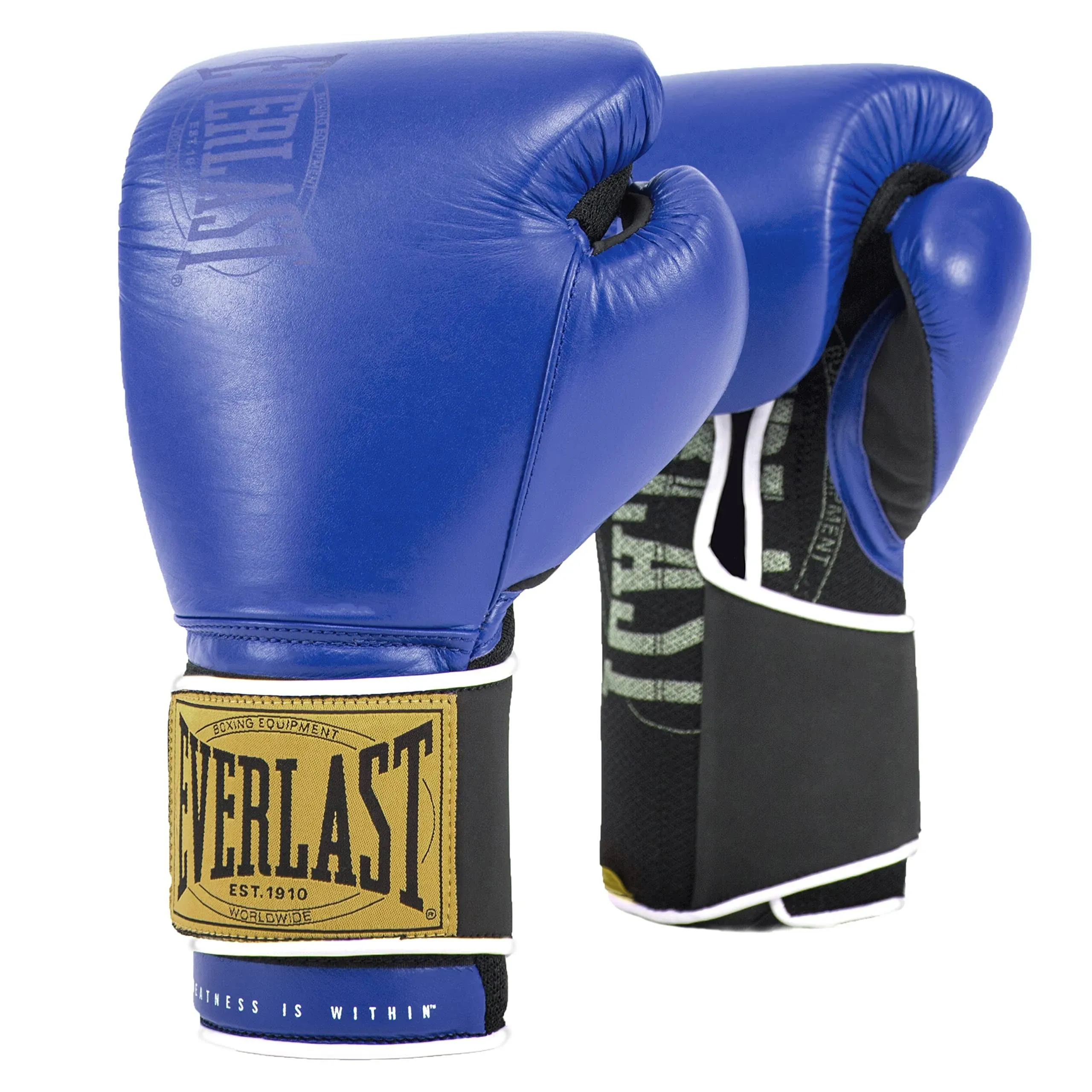 Everlast 1910 Classic Training Glove - Blue - Size 12oz