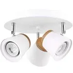 TeHenoo 3-Light Directional Spotlight Semi-Flush Mount Ceiling Light Fixtures