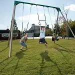 Lifetime Metal Swing Set (Earthtone)