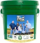 Hard White Wheat Berries | 25 LBS | Emergency Food Storage Bucket | Non-GMO | Grown on Our Family Farm | Bulk