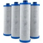 Clear Choice Replacement Water Filter (KW1) for Built-In RV Water Filtration ...