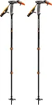 Carbon Whippet Ski Pole