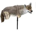 LUCKY DUCK YOTE COYOTE LIFE-SIZED DECOY