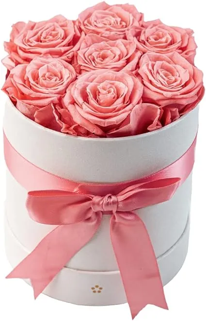 AROMEO 7 Pink Roses Gift That Lasts | Roses for Delivery Prime | Fresh Flowers ...