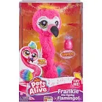 Pets Alive Frankie The Funky Flamingo