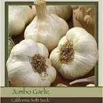 California White Softneck Garlic