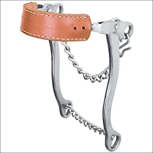 Hackamore Bit with Braided Leather Noseband