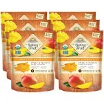 Sunny Fruit Soft Organic Dried Mangoes - 1 Bag (5 Individual Portion Packs) | Healthy, Convenient Snack Packs | NON-GMO, VEGAN, HALAL, KOSHER, NO PRESERVATIVES, NO SULFIDES, NO SUGAR ADDED