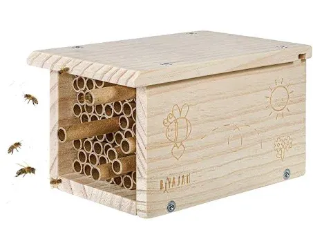 Rivajam Build a Bee House DIY Woodworking Project | Solitary Mason Bee House Nesting Box Wood Building Kit &amp; Tools | Garden Arts &amp; Crafts Activities