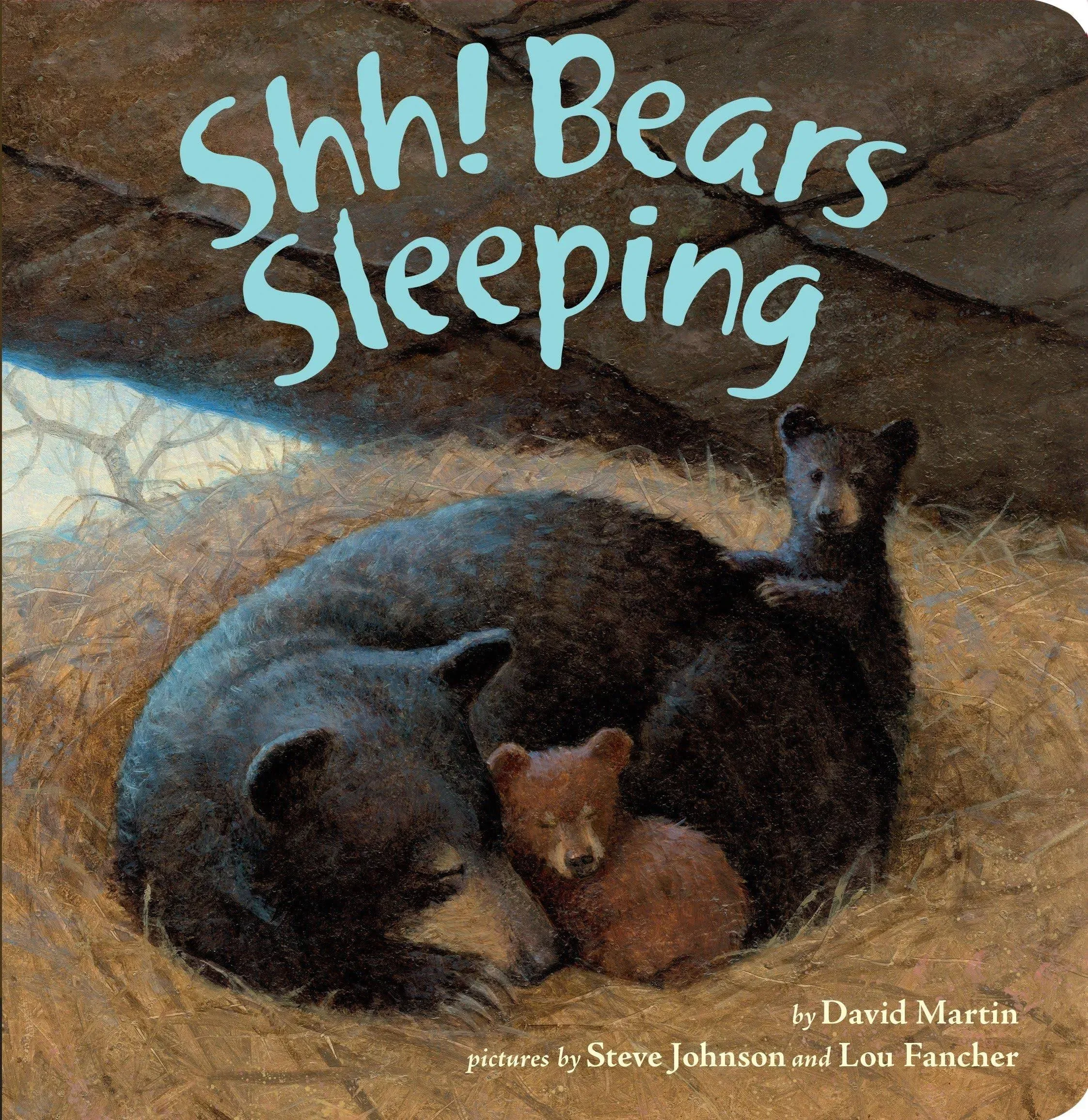 Shh! Bears Sleeping [Book]