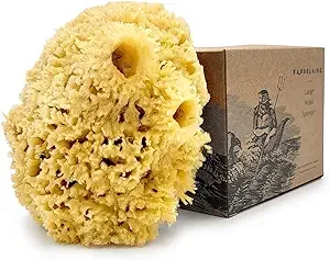 Sea Wool Sponge by Baudelaire 5.5" - Natural Sea Sponges for Bathing - Bath Sea Sponge for Shower - Natural Sea Sponge Loofah | Durable | Sustainable & Environment-Friendly Natural Sponges for Body