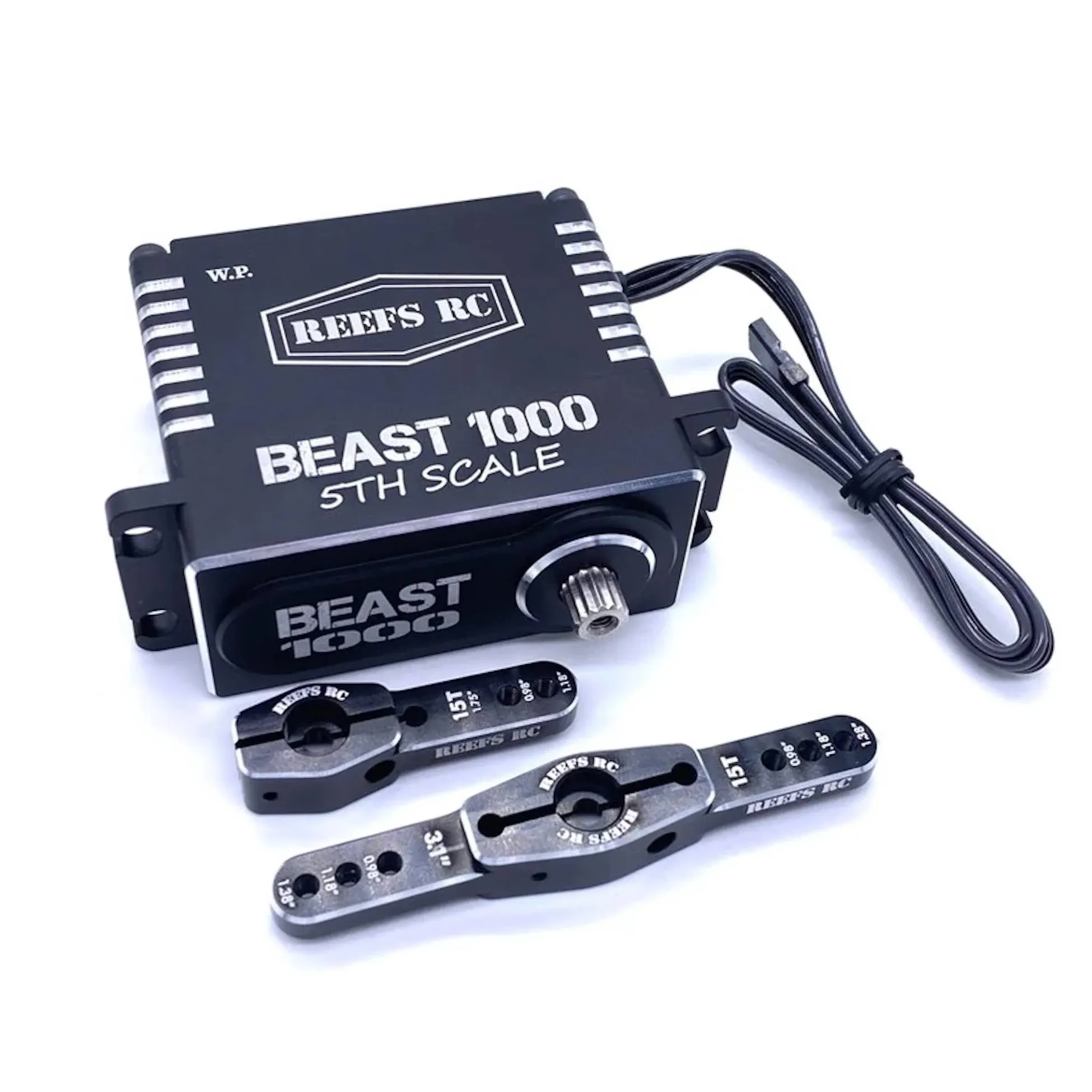 Beast 1000 1/5th Scale Servo