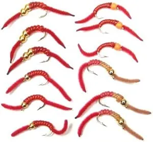 The Fly Fishing Place San Juan Worm Trout Fly Assortment Power Bead Worms 1 Dozen Wet Nymph Fly Fishing Flies - Hook Size 10-3 Each of 4 Patterns