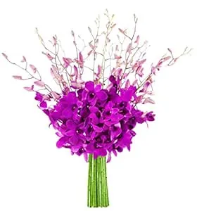 KaBloom PRIME NEXT DAY DELIVERY - The Ultimate Purple Orchid Bouquet of 20 Ex...