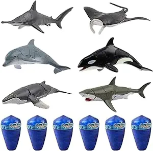 Marine Animal Building Set - 6 Species In Seashells 3D Puzzle STEM Toy TA-23