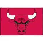 NBA Chicago Bulls Starter Rug