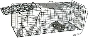 "OxGord Live Animal Trap - Humane Catch & Release Large 32"" Cage Best for Raccoon, O-possum, Stray Feral Cat, Rabbit & Rodents - No-Kill Bait Trapping Kit - Heavy Duty, 2-Door, Foldable 32"" X 12"" X 12"""