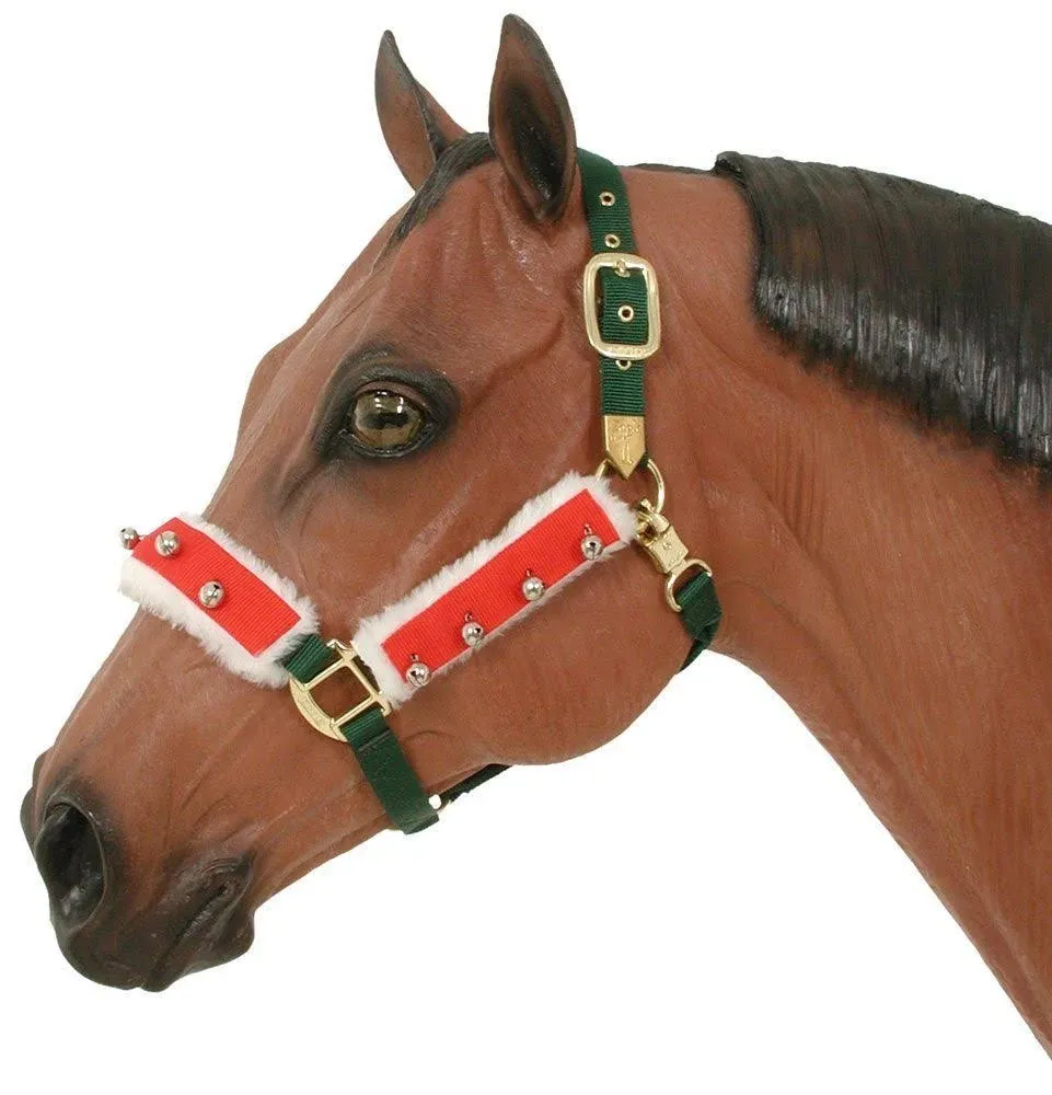 Holiday Halter/Bridle Set