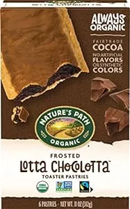 Nature's Path Organic Frosted Lotta Chocolotta Toaster Pastries, 11 oz (Pack of 12), Non-GMO