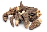 Dried Morel Mushrooms, Wild Morchellas