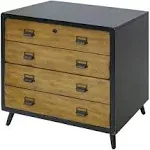 Payton Mid-Century Wood Lateral File Storage File Drawer Black - Martin Furniture