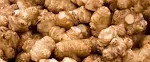 Sunchokes Adama Foods - 2 1/2 pounds (2.5 lbs) for Planting or Eating FEDEX 2day